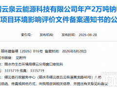 年产2万吨!浙江丽水拟建钠电池基材项目
