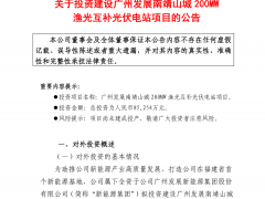 能源巨头官宣投建200MW光伏项目