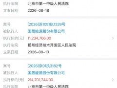 超2.98亿!国晟能源新增多笔执行案件