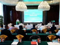 总投110亿！国内首个绿氢耦合负碳航煤生产项目在伊吾启动