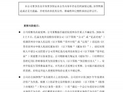 亿晶光电重组进展