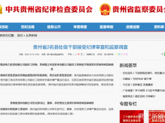 贵州能源集团电力投资、盘江电投发电副总工程师被查